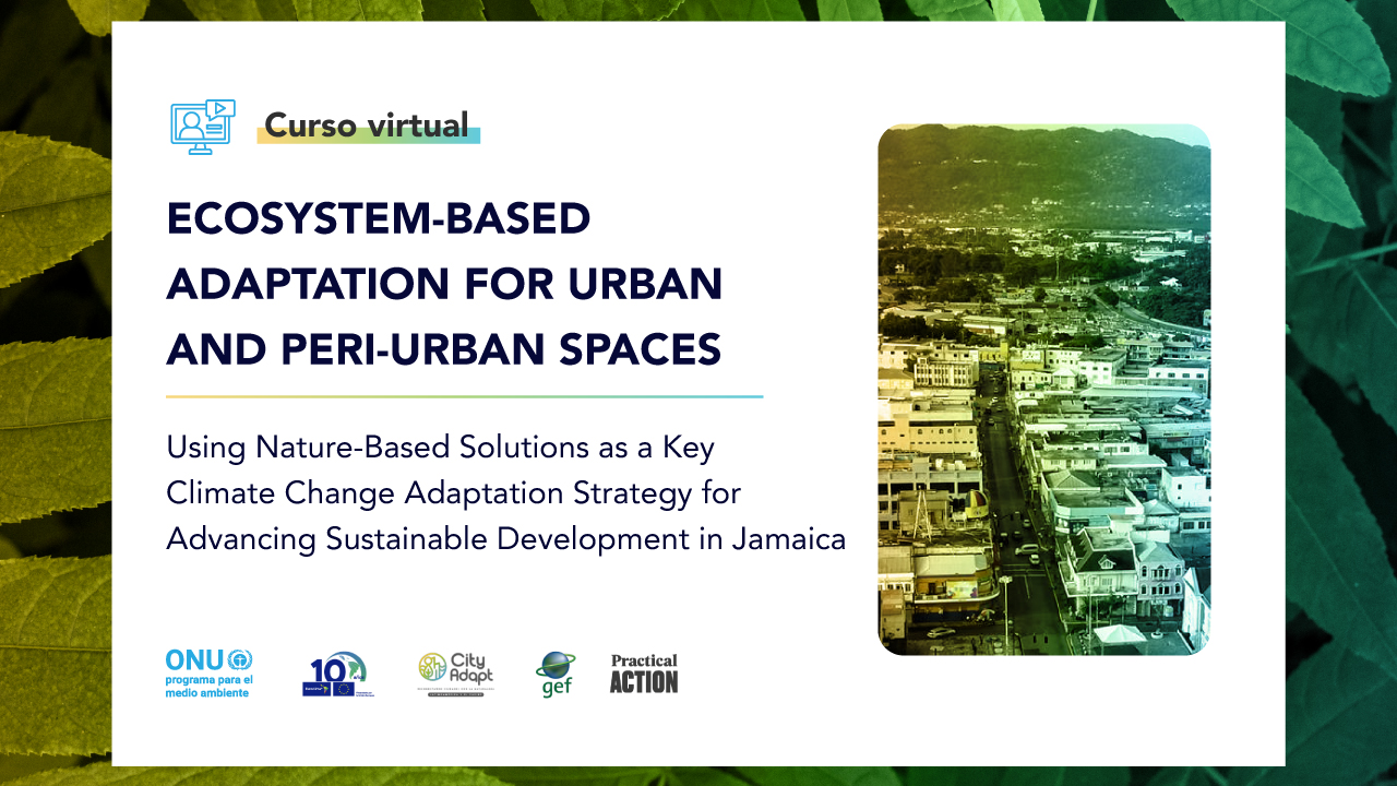 Ecosystem-based Adaptation for Urban and Peri-urban Spaces