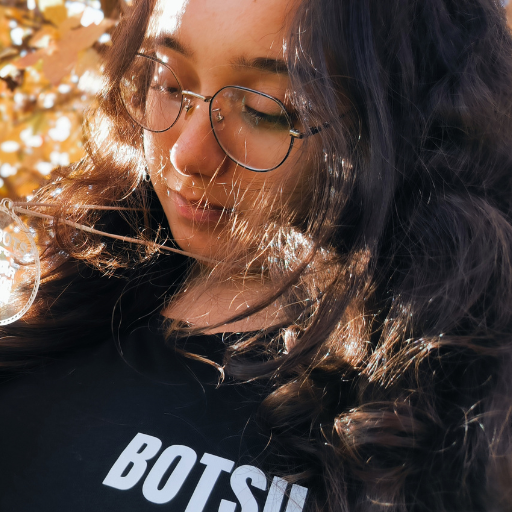 Perfil